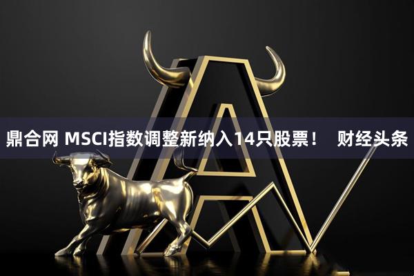 鼎合网 MSCI指数调整新纳入14只股票！  财经头条