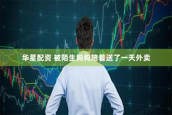 华星配资 被陌生狗狗陪着送了一天外卖